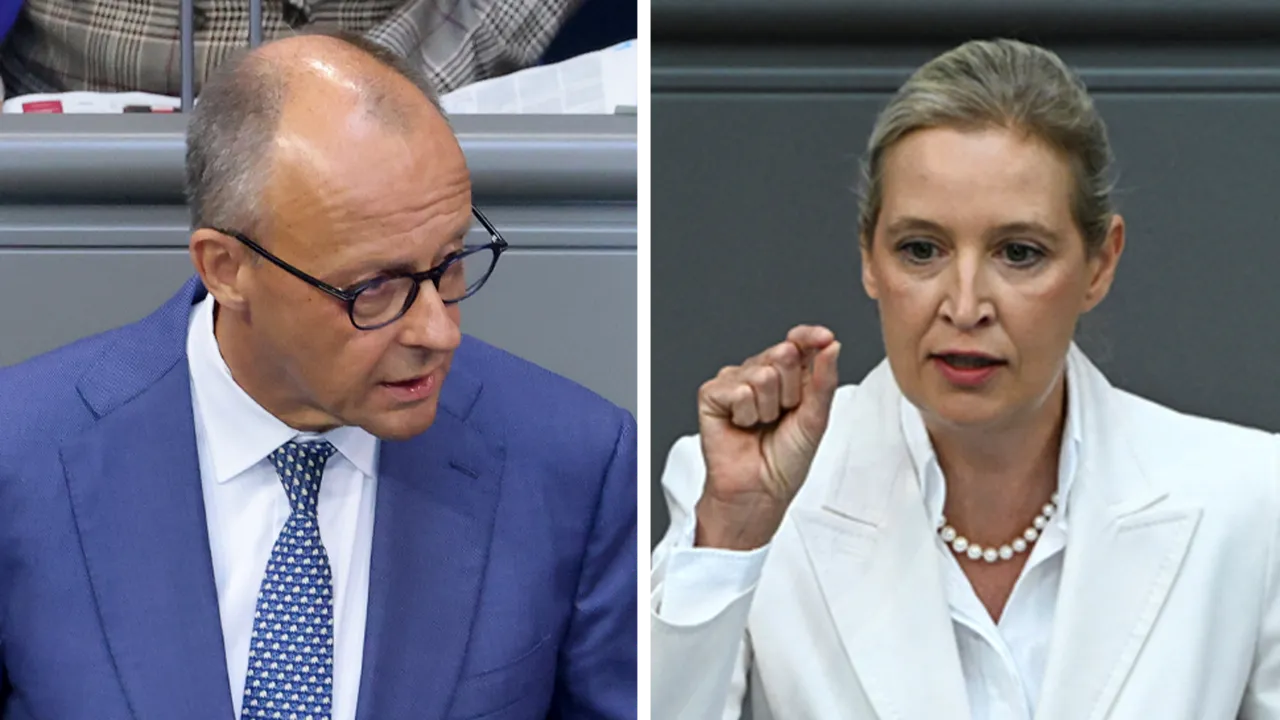 Germany's Merz Calls AfD a 'Destructive Force' After Party's Sweeping Win in Saxony-Anhalt