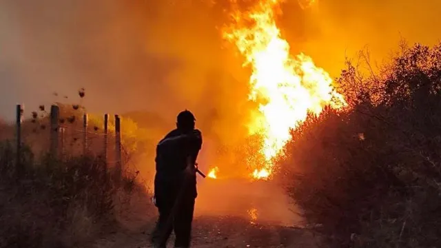 Algeria Adopts Death Penalty for Forest Arsonists After Deadly Wildfires