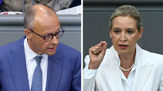 Germany's Merz Calls AfD a 'Destructive Force' After Party's Sweeping Win in Saxony-Anhalt