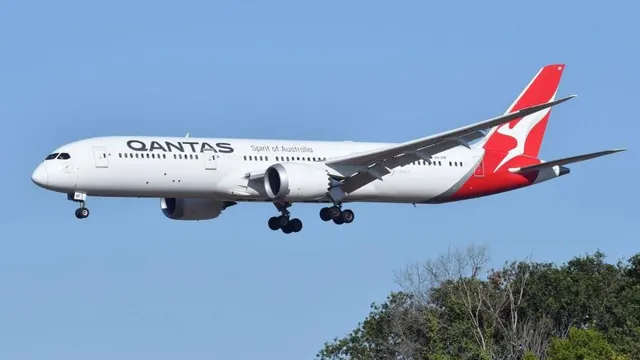 Qantas grounds Boeing 787 in Rome after bedbug infestation found in economy cabin