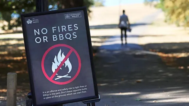 UK Wildfires: Temporary Ban on Disposable BBQ Sales as Blazes Spread Across England and Wales