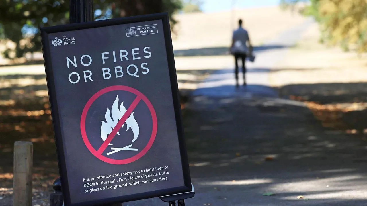 UK Wildfires: Temporary Ban on Disposable BBQ Sales as Blazes Spread Across England and Wales